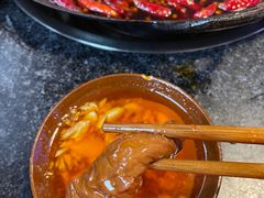 -肥龙火锅(南坪店)