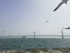 -星海广场