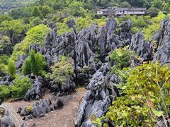 -千岛湖石林
