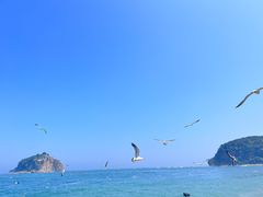-棒棰岛宾馆景区