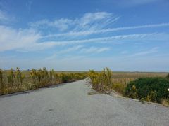 android_upload_pic-南汇嘴观海公园