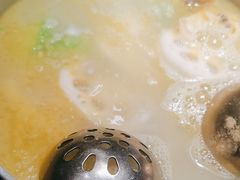 -禄婶鸡煲·打边炉