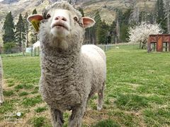 -COSTA COFFEE(阿里中心店)