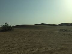 -迪拜沙漠冲沙