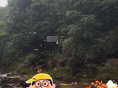 -雅鲁激流探险漂流