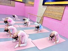 -蒲公英舞蹈艺术中心(促进路校区)