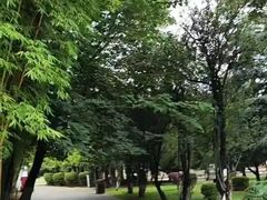 -庾园