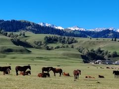 -新疆那拉提国家旅游度假区