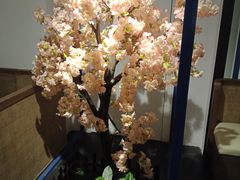 -尚尚仙·酸汤猪手·猪肚鸡火锅(华联万柳购物中心店)