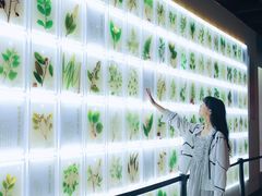 -广东中医药博物馆