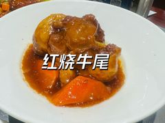 红烧牛尾-燕春楼(海河华鼎店)