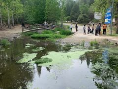 -白水寺森林公园