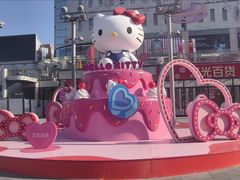 -安徽阜阳卷馍(西单店)