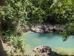 -广州白江湖森林公园