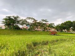 -黄埔油麻山森林公园