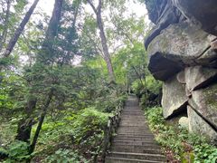 -汤旺河林海奇石景区