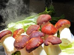 -食全酒美·野生菌腊排骨餐厅(木府店)