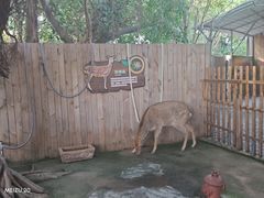 -欢乐海岸海洋奇梦馆