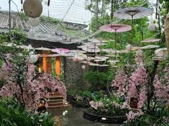 -海口观澜湖火山温泉谷