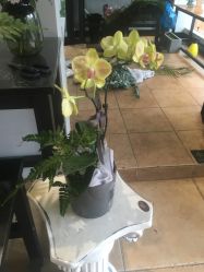 -花落谁家婚礼策划(永安街店)