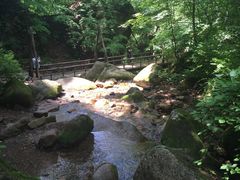 -五女峰国家森林公园