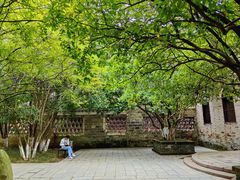 -八大山人梅湖景区