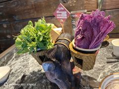 -慢丽江·云南野生菌土鸡锅(西山店)