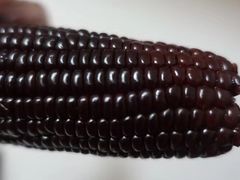 -潮汕良记牛肉火锅(洪武路店)