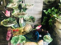 -农厨好味·温泉鹅·农家菜