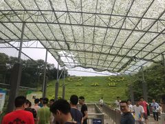 -牛仔谷漂流