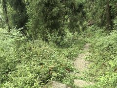 -九峰山