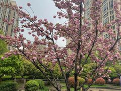 -老东北大铁锅·烧烤·东北菜