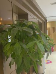 -重庆星宸整形美容医院