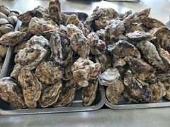 -春华海鲜城(广场西苑店)