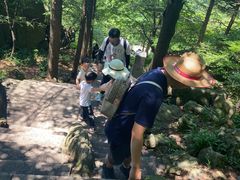 -崂山巨峰游览区