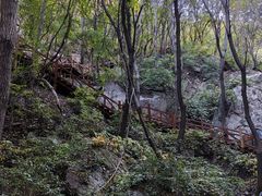 -大岭沟猕猴桃谷风景区