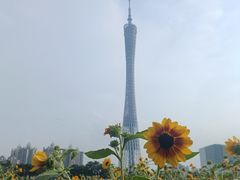 -海心沙亚运公园