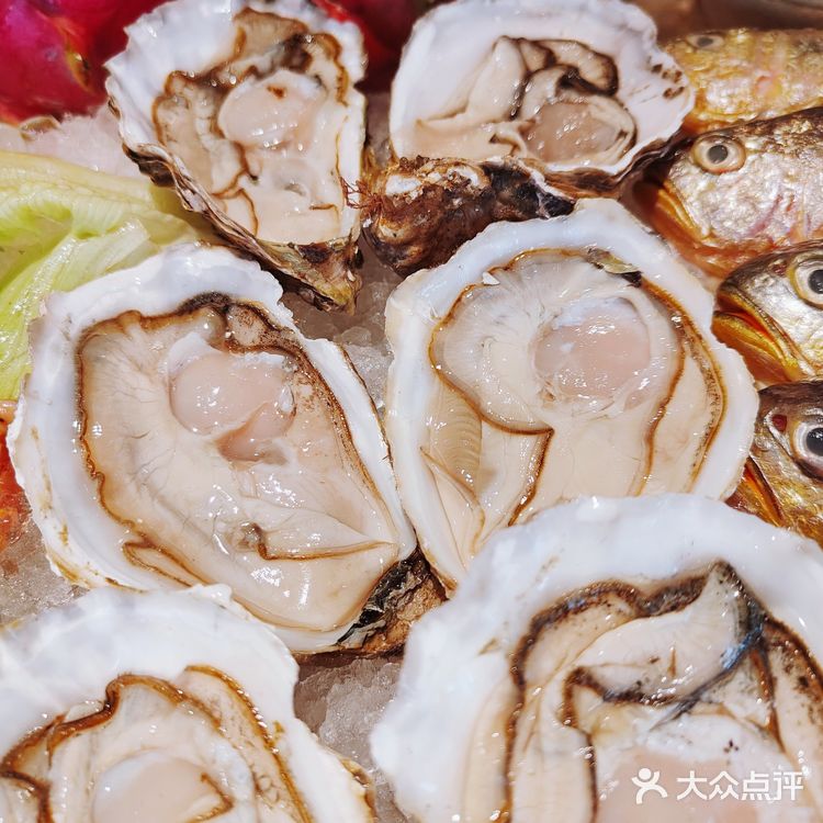 【美食新高度】悦华酒店·红夫人