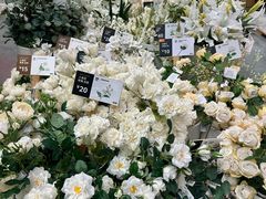 -宜家家居(高新商场店)