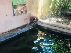-仁爱团泊湖温泉中心