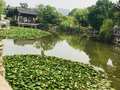 -常熟方塔园