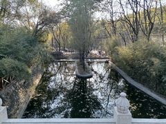 -北宫国家森林公园