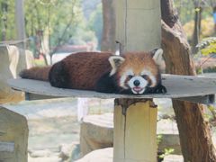 -常州淹城野生动物世界