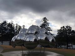 -金泽21世纪美术馆