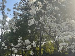 -四川大学(江安校区)