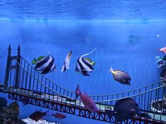 -太平洋海底世界