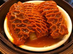 萝卜金钱肚-添运来(茶园奥园广场店)