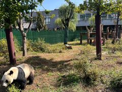 -沈阳森林动物园