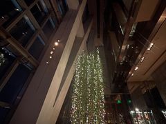 -上海柏悦酒店