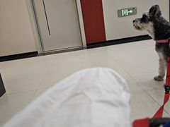 -御宝贝24h宠物医院·转诊中心·CT核磁血透中心(厦门总院)